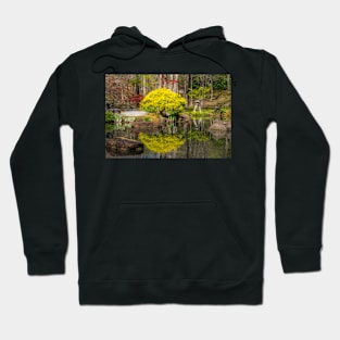 Water reflection in Japanese Garden Hoodie